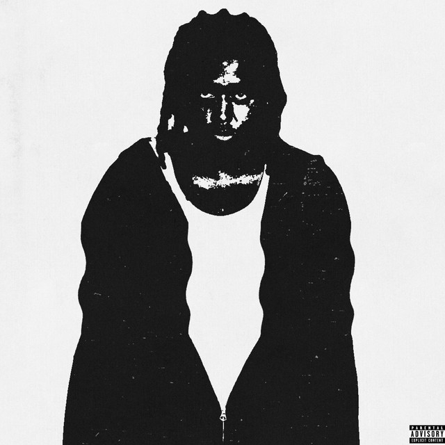 Misunderstood cover art