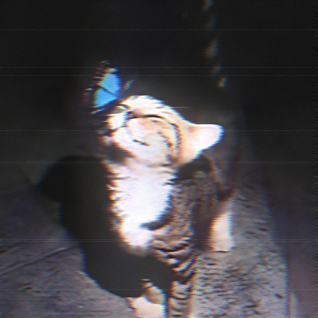 Self Aware cover