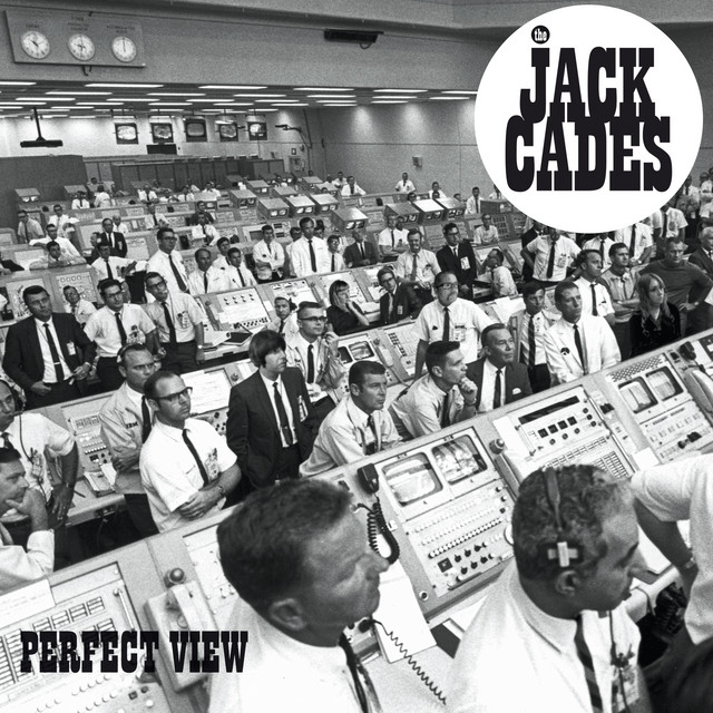 Perfect View cover art