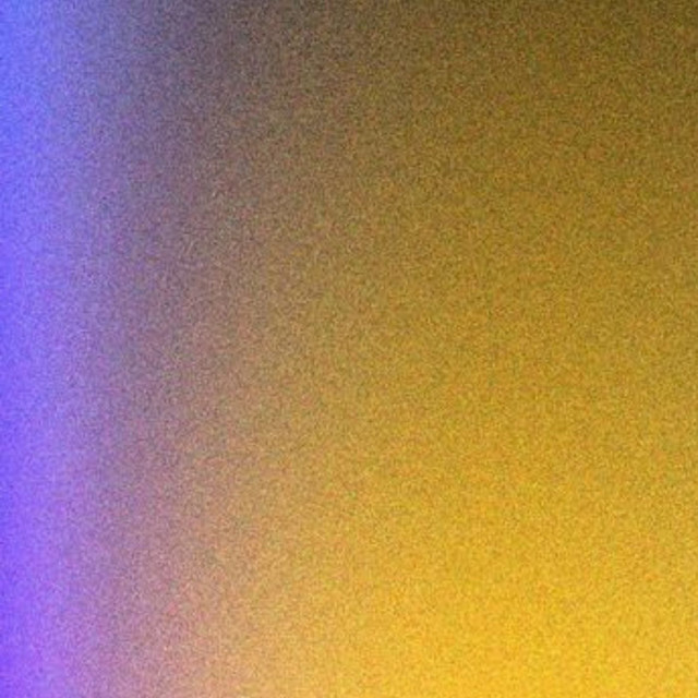 A Sonic Momentum cover art
