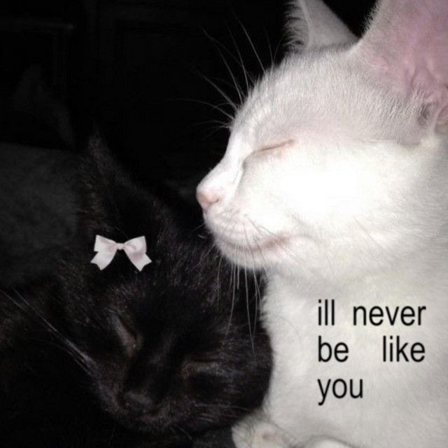 ill never be like you cover art
