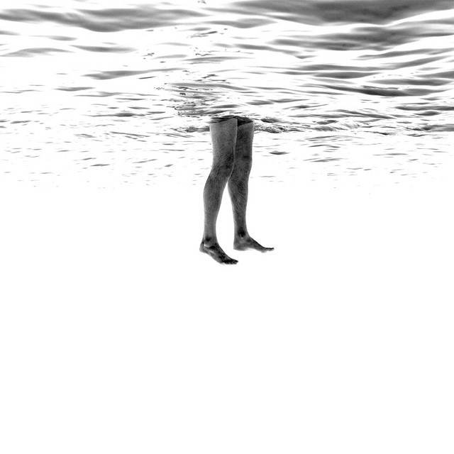 Dissolve cover art