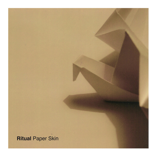 Paper Skin cover art