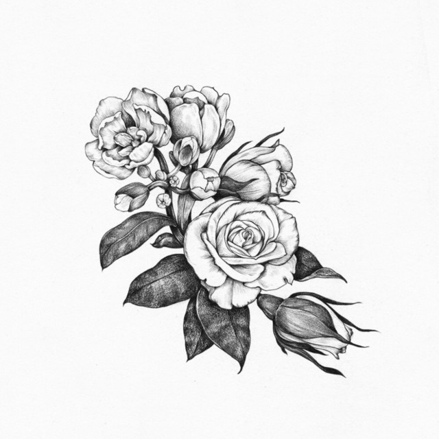 Roses cover art