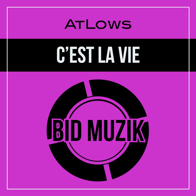 C'est La Vie album art