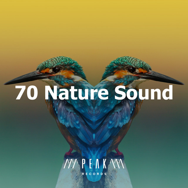70 Nature Sound - Album by Sleep Sounds of Nature | Spotify