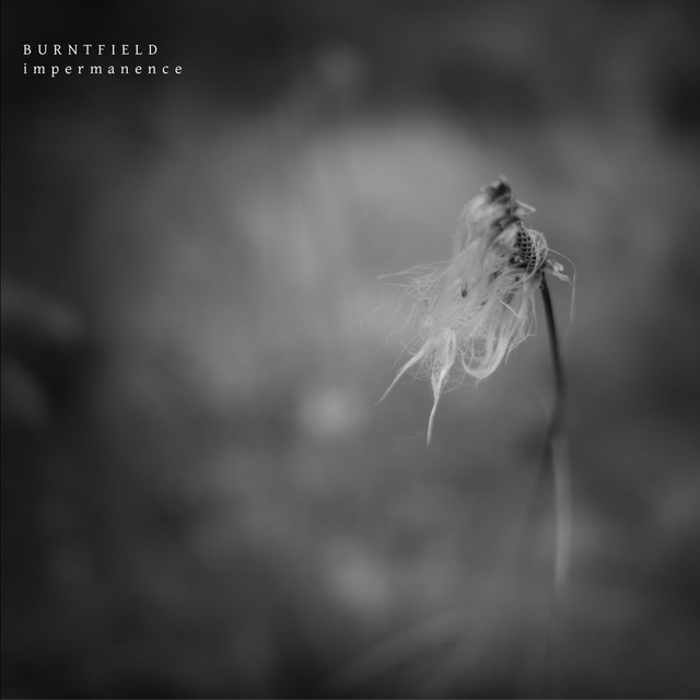 Impermanence cover art