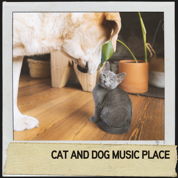 Cat and Dog Music Place: Tranquil Tunes for Tired Pets cover art