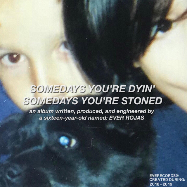 Somedays You're Dyin', Somedays You're Stoned cover art
