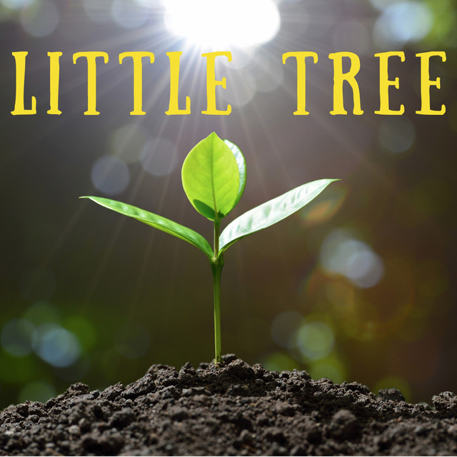 Little Tree - Single by Levity Beet | Spotify