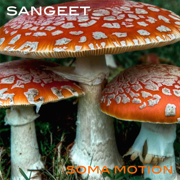 Soma Motion cover art