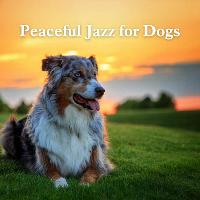 Dog Music - song and lyrics by Music For Dogs Peace, Jazz Music for ...