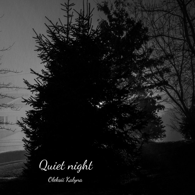 Обкладинка: Quiet night — Oleksii Kalyna