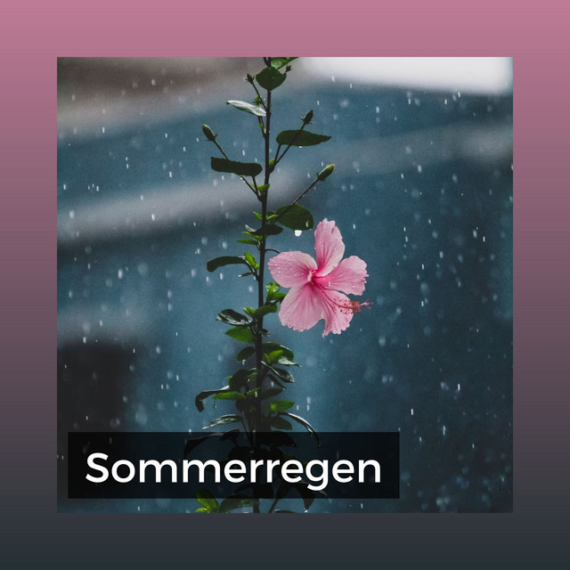 Sommerregen cover art