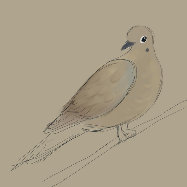 The Mourning Dove cover art