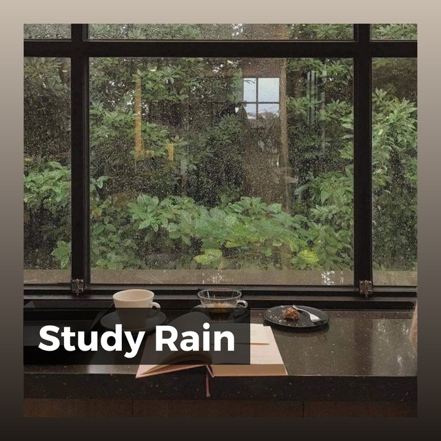 Study Rain cover art