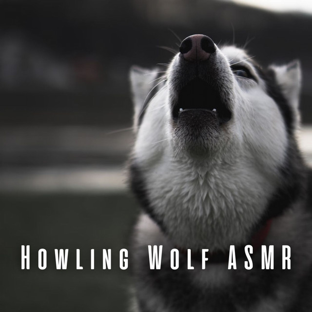 Howling Wolf ASMR cover art