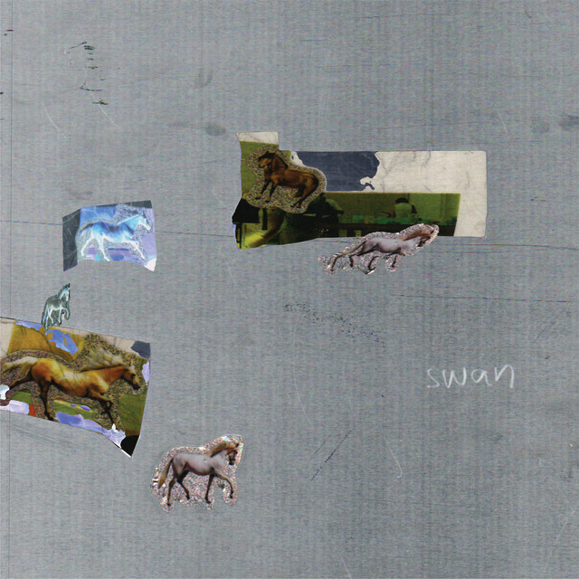 swan cover art