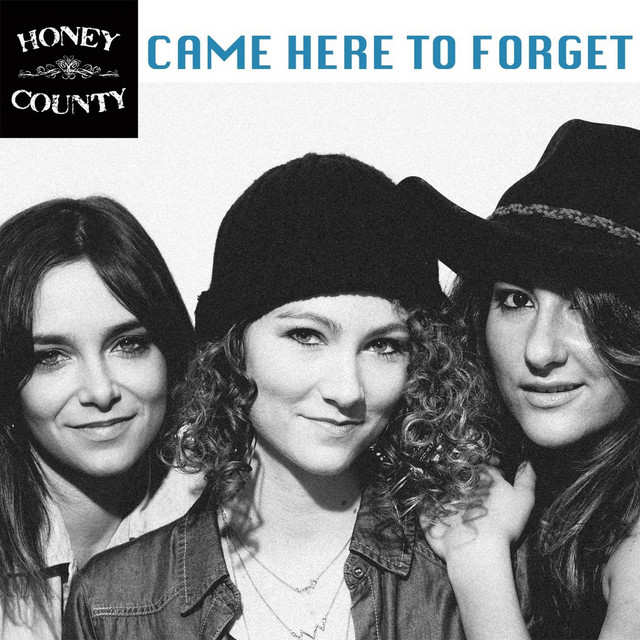 Came Here to Forget - Single by Dani Rose | Spotify