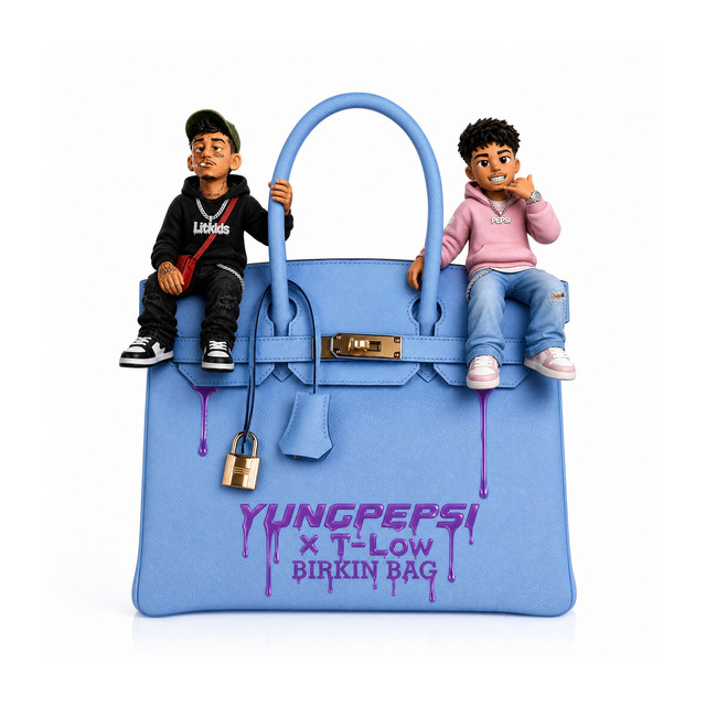Birkin bag album image
