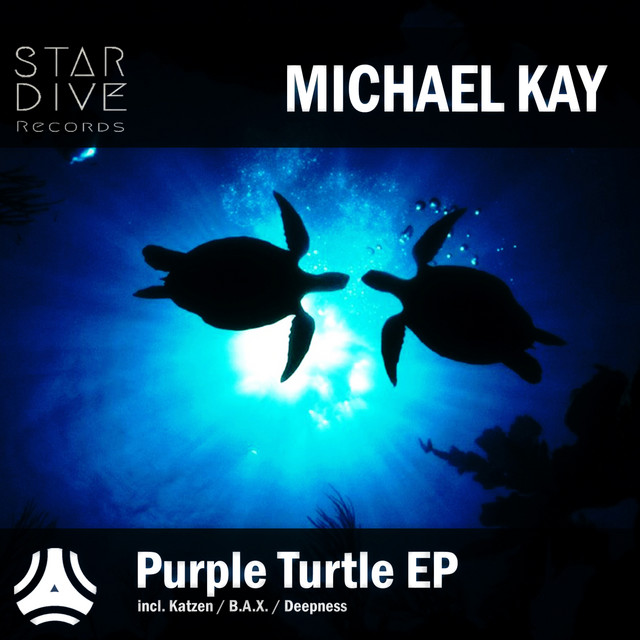 Purple Turtle cover art
