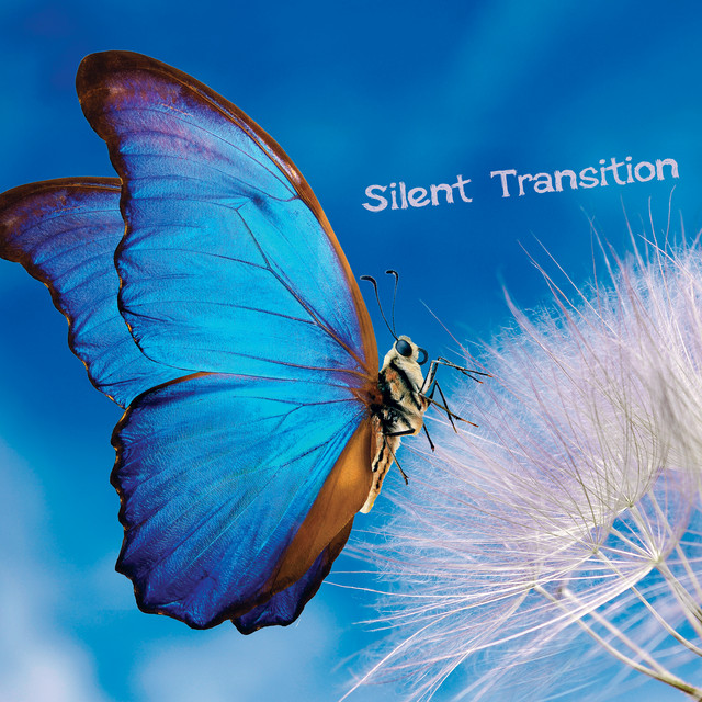 Silent Transition cover art