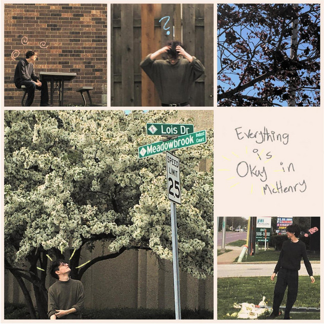 ...In McHenry cover art