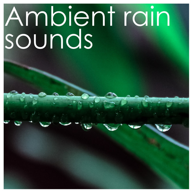 16 Soothing Rain Sounds, Cure Insomnia, Sleep 8 hours, Baby Sleep Aid, Wake Refreshed cover art