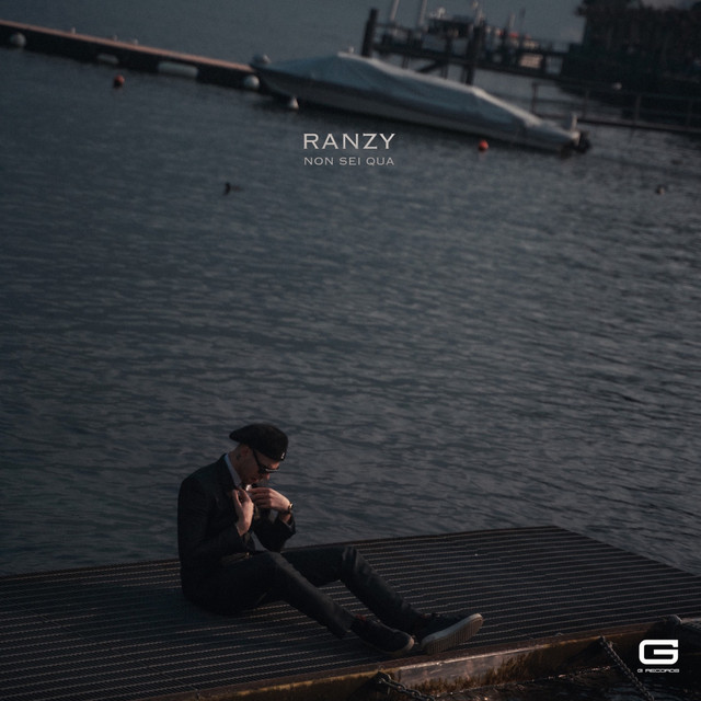 Non sei qua cover