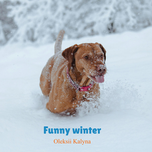 Обкладинка: Funny winter — Oleksii Kalyna