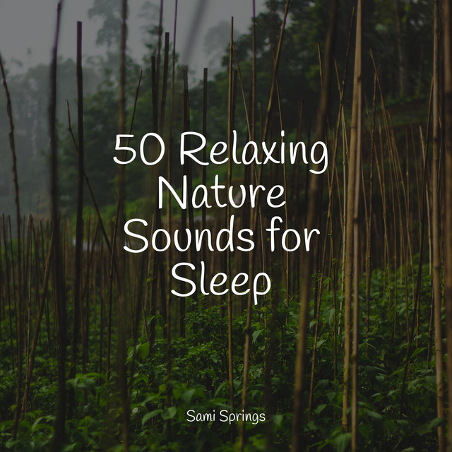 50 Relaxing Nature Sounds for Sleep - Album by Lluvia | Spotify