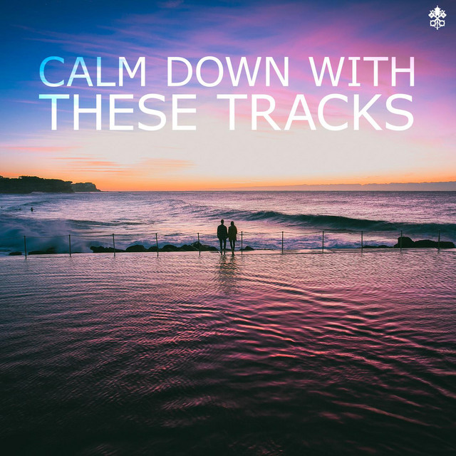 Calm Down With These Tracks (1) cover art