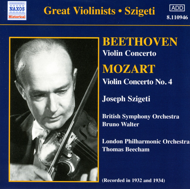 Violin Concerto No. 4 in D Major, K. 218: II. Andante