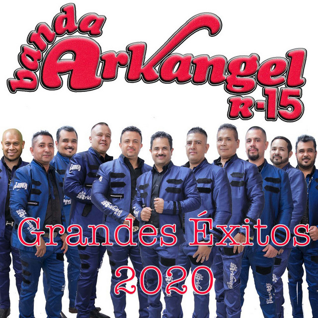 Grandes Exitos 2020 album image