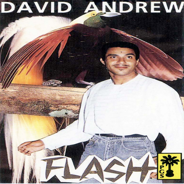 David Andrew | Spotify