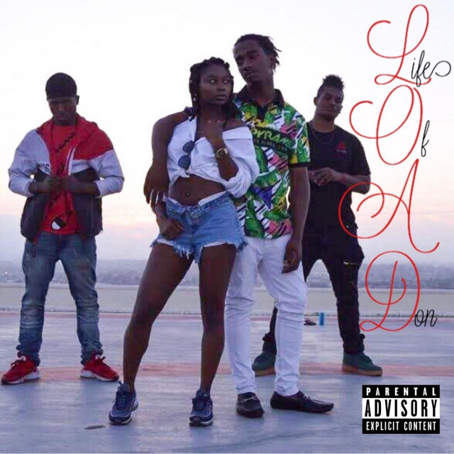 Life of a Don cover art