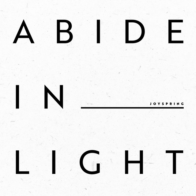 Abide in Light cover art
