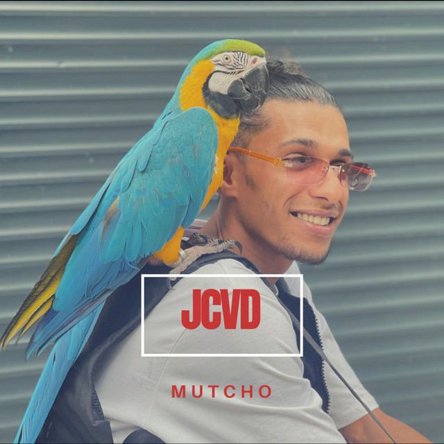 JCVD cover art