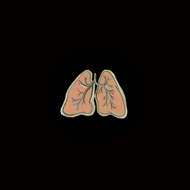 Obedear cover art