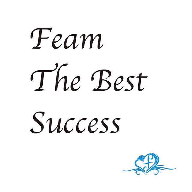 Feam The Best Success cover art