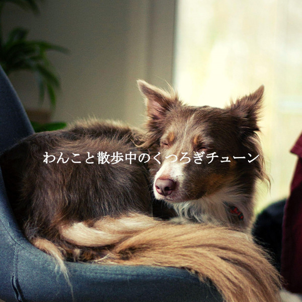 わんこと散歩中のくつろぎチューン cover art