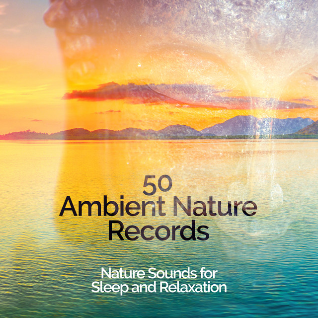 50 Ambient Nature Records - Album by Nature Sounds for Sleep and ...