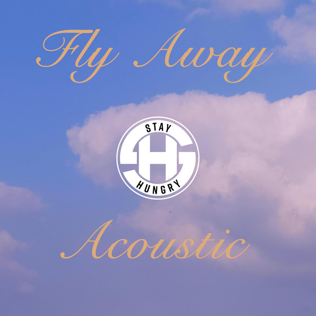 Fly Away (Acoustic) cover