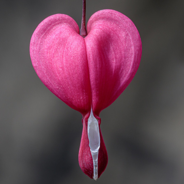 Heart On My Sleeve