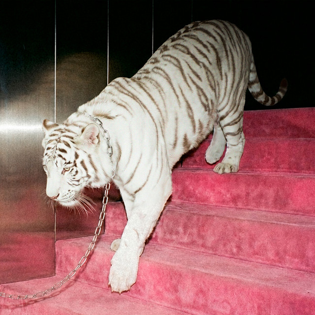 undefined album image