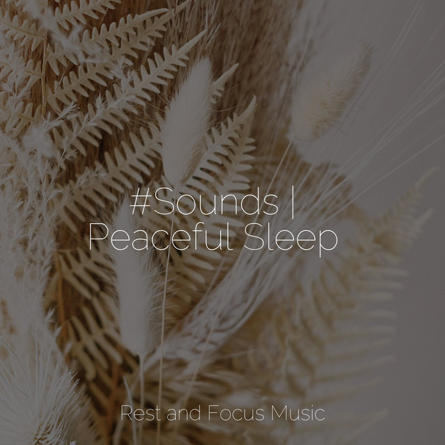 #Sounds | Peaceful Sleep - Album by Relaxing Sleep Sound | Spotify