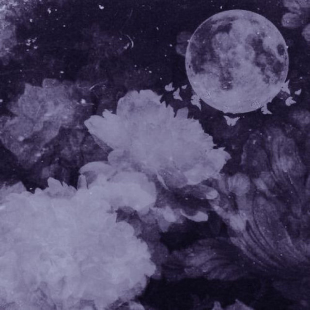 FRAM cover art