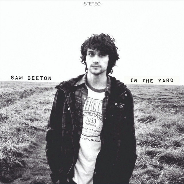 In the Yard cover art