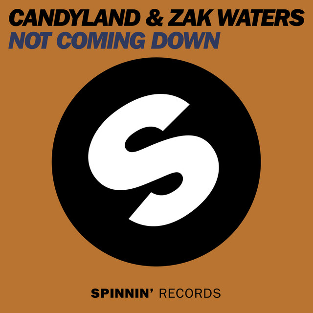 Not Coming Down - Original Mix