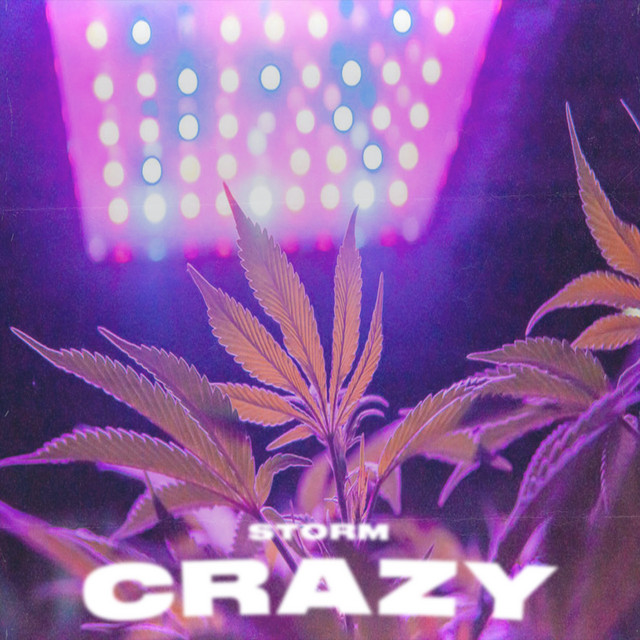 Crazy cover art